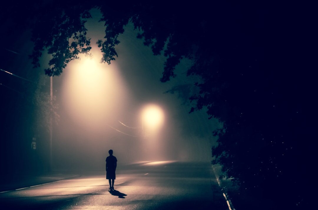dark night shadows mystery