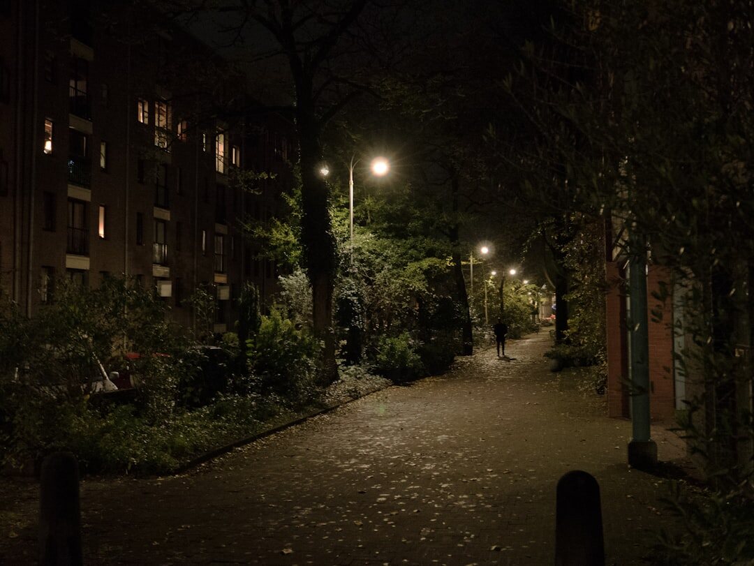 shadowy alley at night